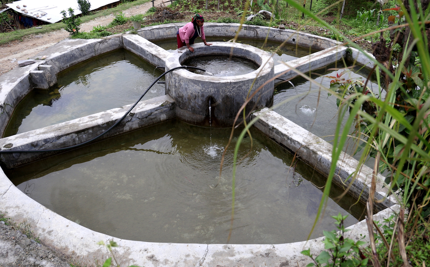 Community farming in Nepal