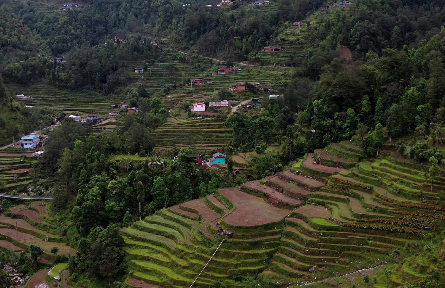 Community farming in Nepal